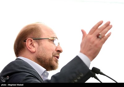 عبدالرضا رحمانی فضلی , شورای نگهبان , محمدباقر قالیباف , حسن روحانی , سید ابراهیم رئیسی , اسحاق جهانگیری , سیدمصطفی میرسلیم , هاشمی طبا , انتخابات ریاست‌جمهوری 96 , 