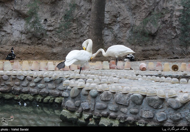 بوی عیدی در هوای بهاری تهران