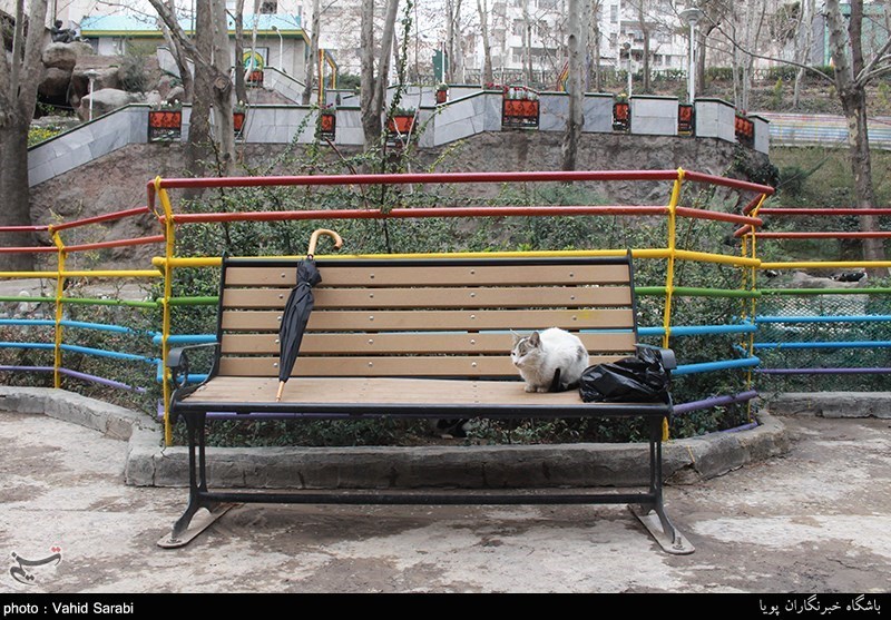 بوی عیدی در هوای بهاری تهران