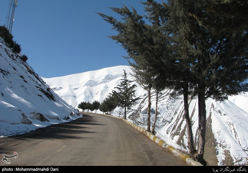 زمستان در بهار