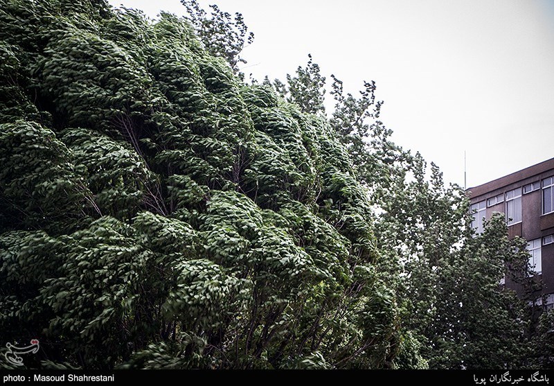 طوفان در تهران