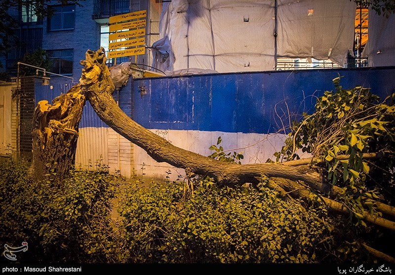 طوفان در تهران