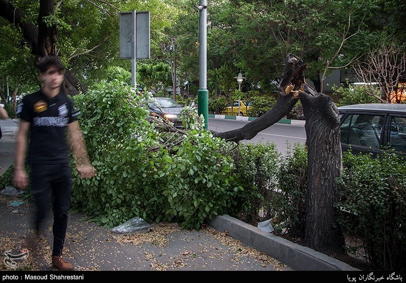 طوفان در تهران