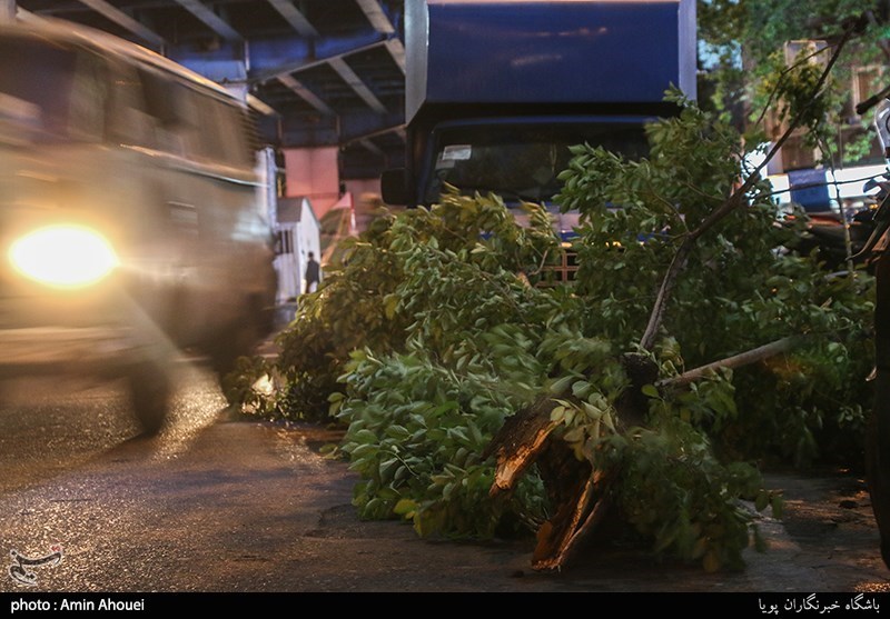 طوفان در تهران