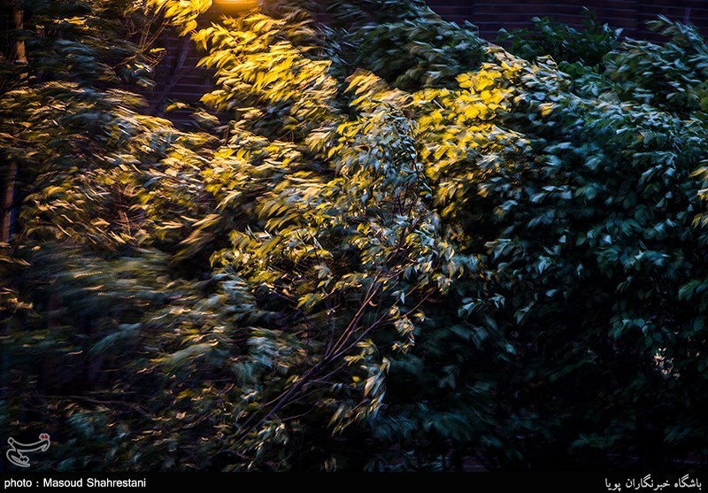 طوفان در تهران