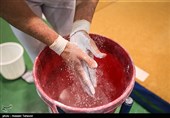 یک خانم جانشین اینچه‌درگاهی در ژیمناستیک شد/ فَک پلمب و آغاز فعالیت‌های فدراسیون