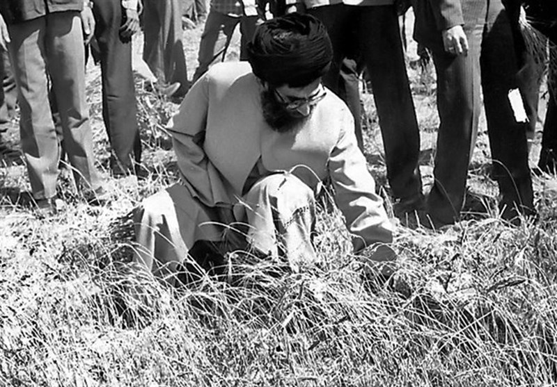 خامنه ای رهبر مزرعه