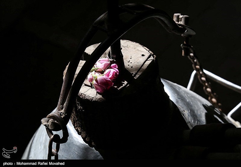 ایران کے شہر کاشان میں گلاب چننے کا موسم