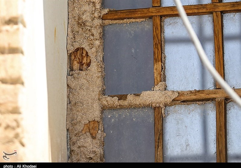 هجوم موریانه‌ها به بنای تاریخی امامزاده احمد اصفهان