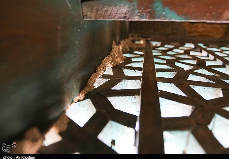 هجوم موریانه‌ها به بنای تاریخی امامزاده احمد اصفهان