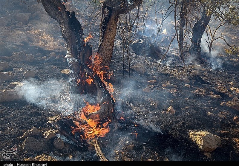 کمبود جاده‌های آتش بر در جنگل‌های ارسباران مشکل‌ساز می‌شود