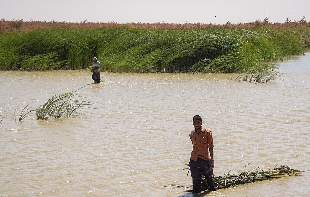 استان سیستان و بلوچستان ,