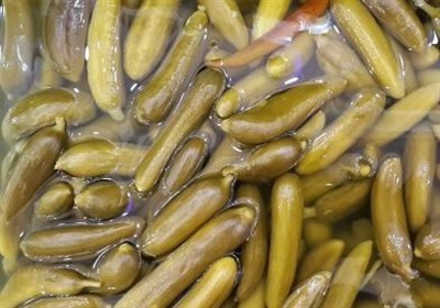 وقتی خیار به ارزآوری می‌رسد/ روایت ارزش‌آفرینی خیار شیروان‌