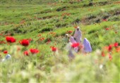 الگوی دینیِ حضور زن در جامعه؛ نه انزوا، نه بی‌مرزی