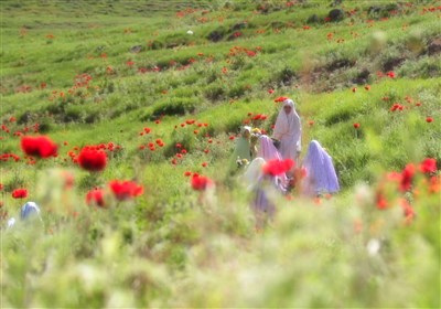 الگوی دینیِ حضور زن در جامعه؛ نه انزوا، نه بی‌مرزی