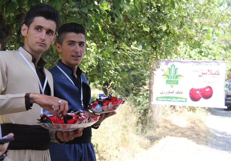 دومین جشنواره ملی گیلاس اشنویه