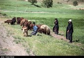 روستای تاریخی چرمله