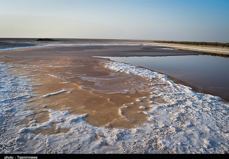 تالاب شادگان