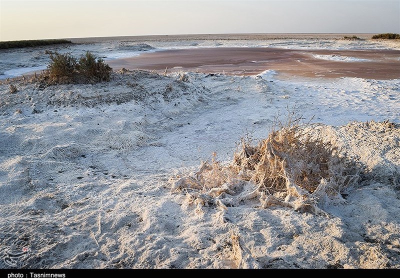 تالاب شادگان