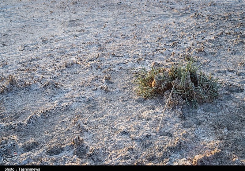 تالاب شادگان