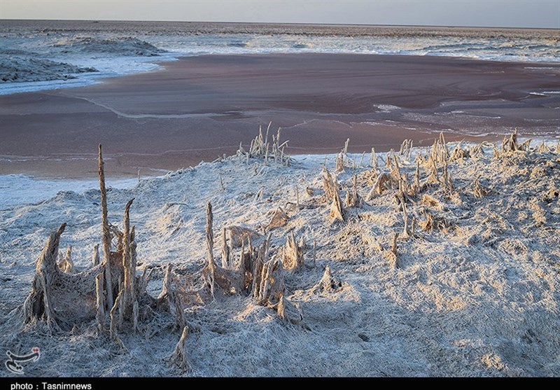 تالاب شادگان