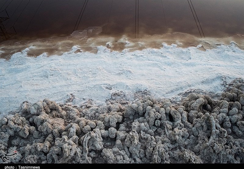 بازدید خبرنگاران خوزستانی از پایتخت خرما