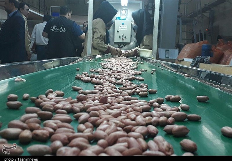 نظام مسائل استان گیلان , اخبار استان گیلان , کشاورزی , 