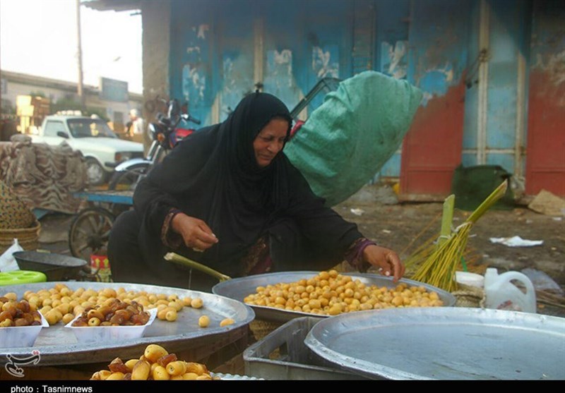 بازدید خبرنگاران خوزستانی از پایتخت خرما