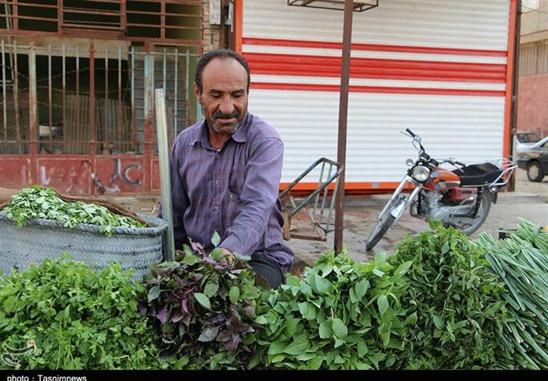 بازدید خبرنگاران خوزستانی از پایتخت خرما