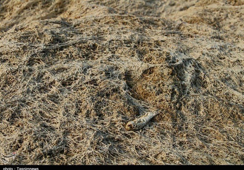 بازدید خبرنگاران خوزستانی از پایتخت خرما