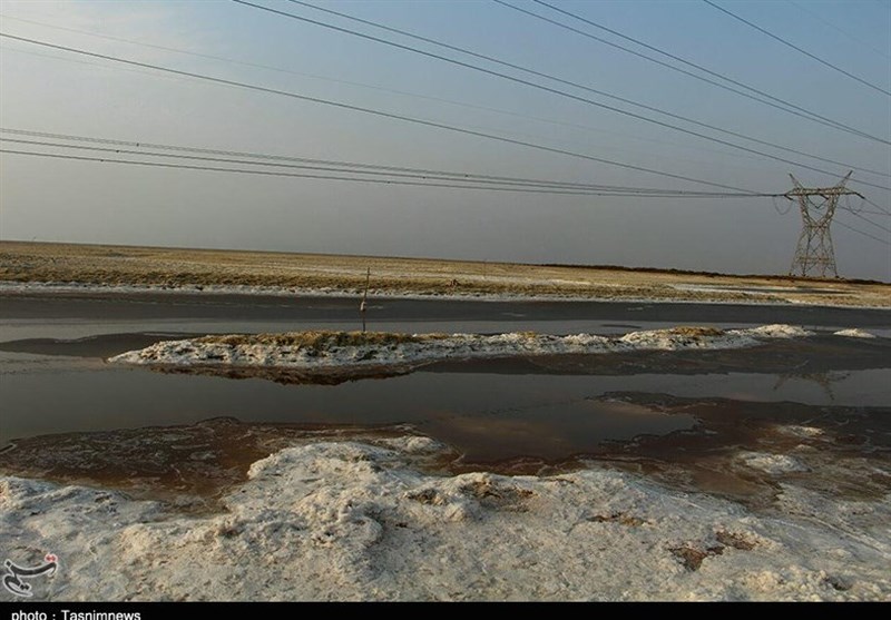 بازدید خبرنگاران خوزستانی از پایتخت خرما