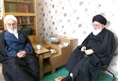 حجت‌الاسلام ناطق‌نوری با آیت‌الله علم‌الهدی دیدار کرد + تصاویر