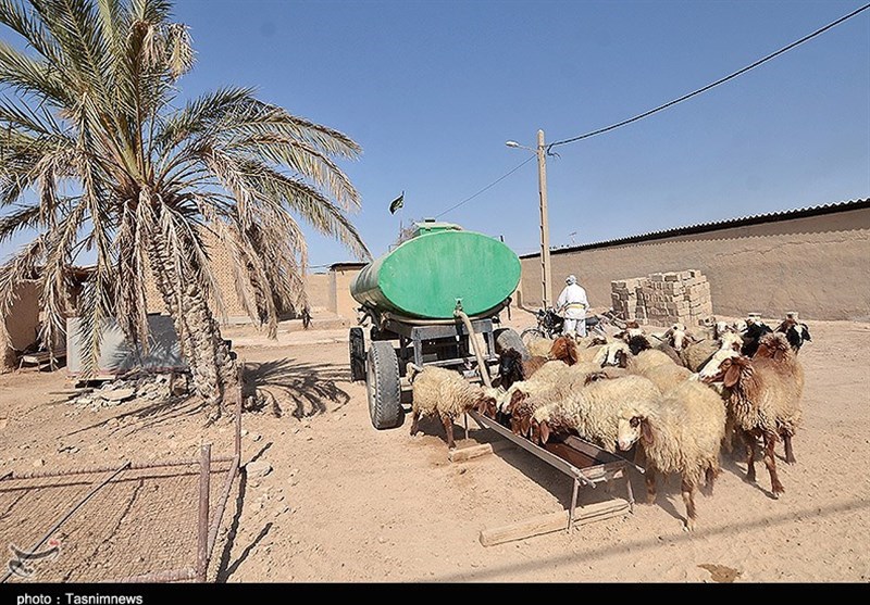 غیزانیه اهواز - محرومیت - معضل آب