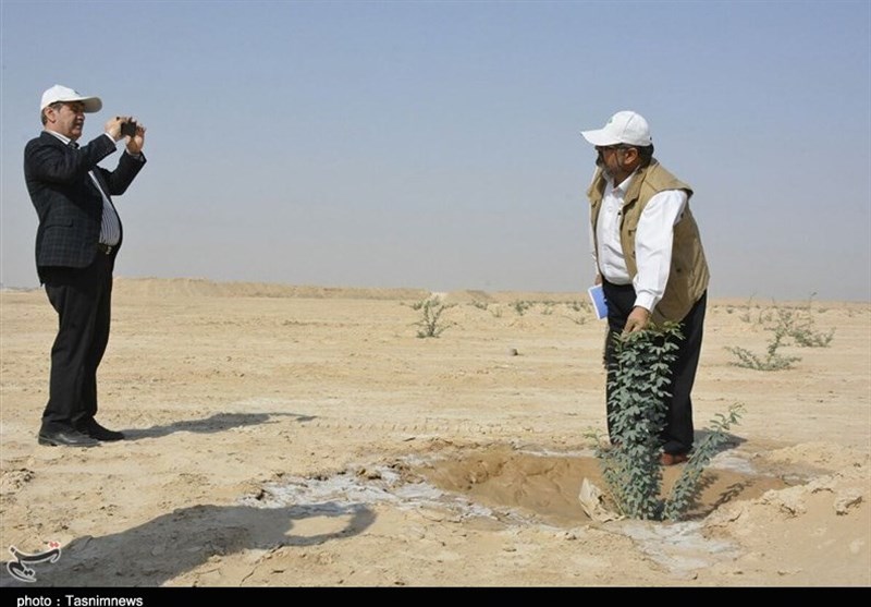 بازدید از پروژه مهار ریزگردهای داخلی استان خوزستان 