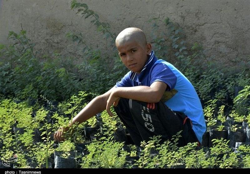 بازدید از پروژه مهار ریزگردهای داخلی استان خوزستان 