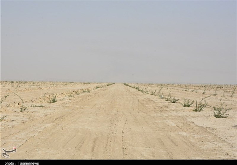 بازدید از پروژه مهار ریزگردهای داخلی استان خوزستان