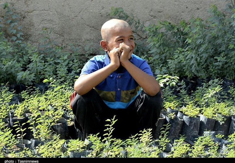 روستای حفیره