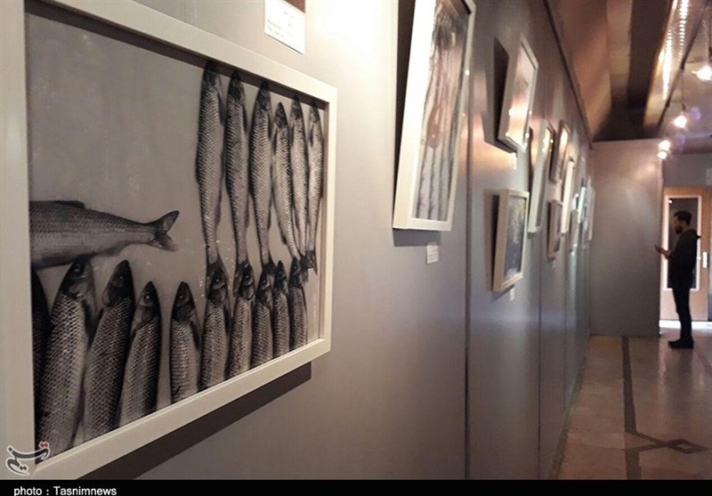 نمایشگاه عکس "در امتداد نگاه" در رشت