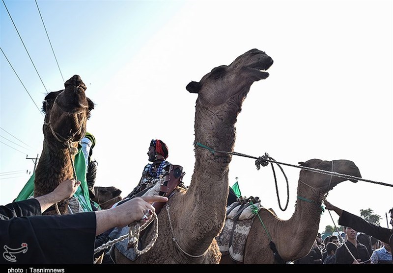 آغاز حرکت بزرگترین کاروان پیاده روی اربعینی حسینی کشور