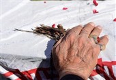 شناسایی پیکر نوجوان شهید حسین حوریان پس از 44 سال