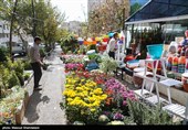 گلخانه گل های طبیعی واقع در خیابان شهید جهان آرا