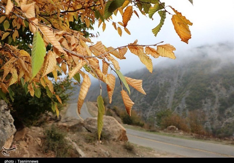 پاییز اشکورات