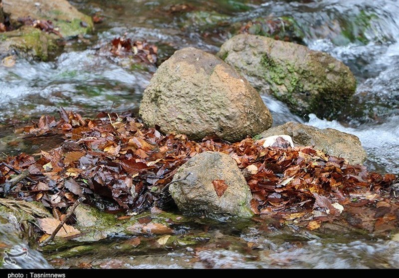 پاییز اشکورات