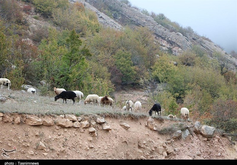 پاییز اشکورات