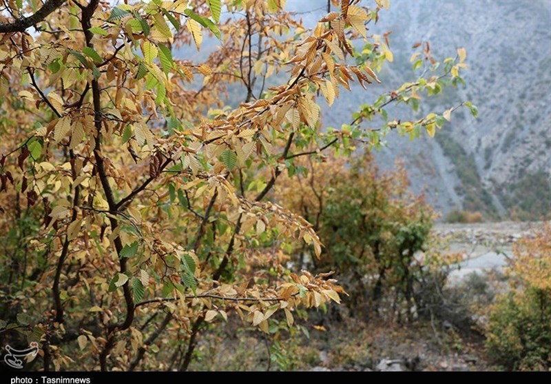 پاییز اشکورات