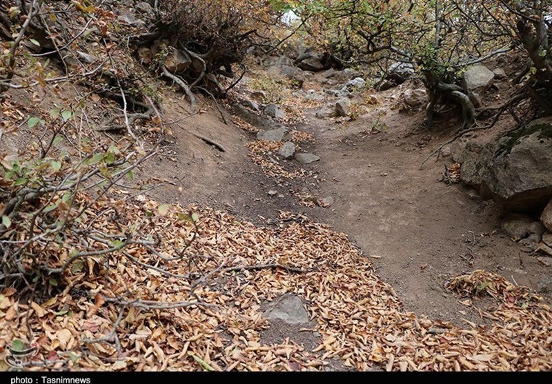 پاییز اشکورات