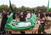 پیاده روی زائران اربعین حسینی از نجف به کربلا