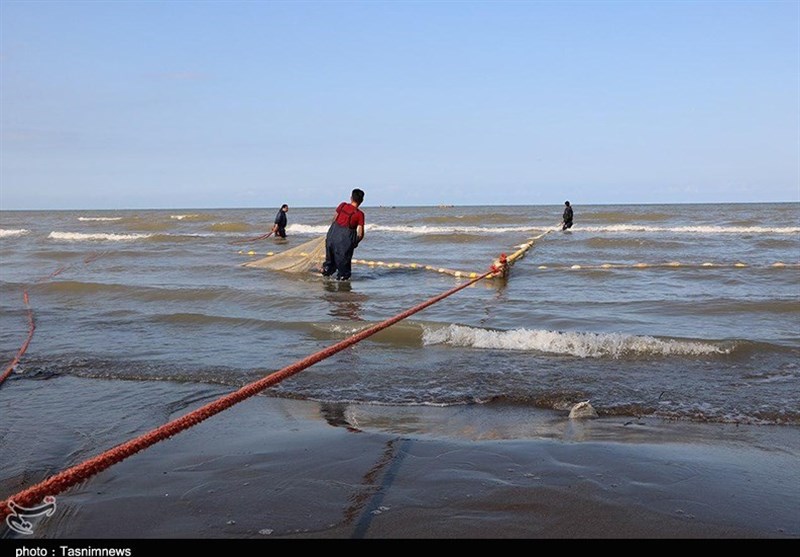 صید پره در گیلان