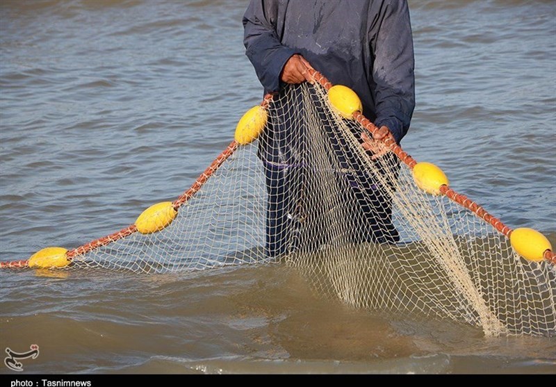 صید پره در گیلان