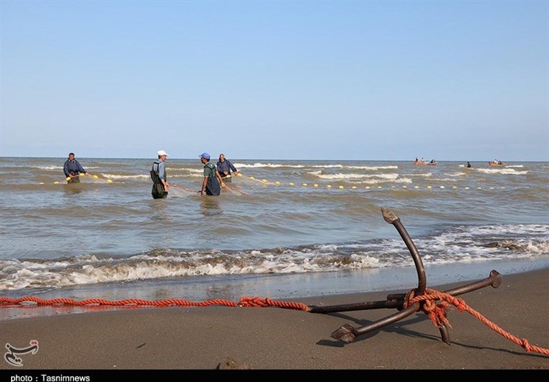 صید پره در گیلان